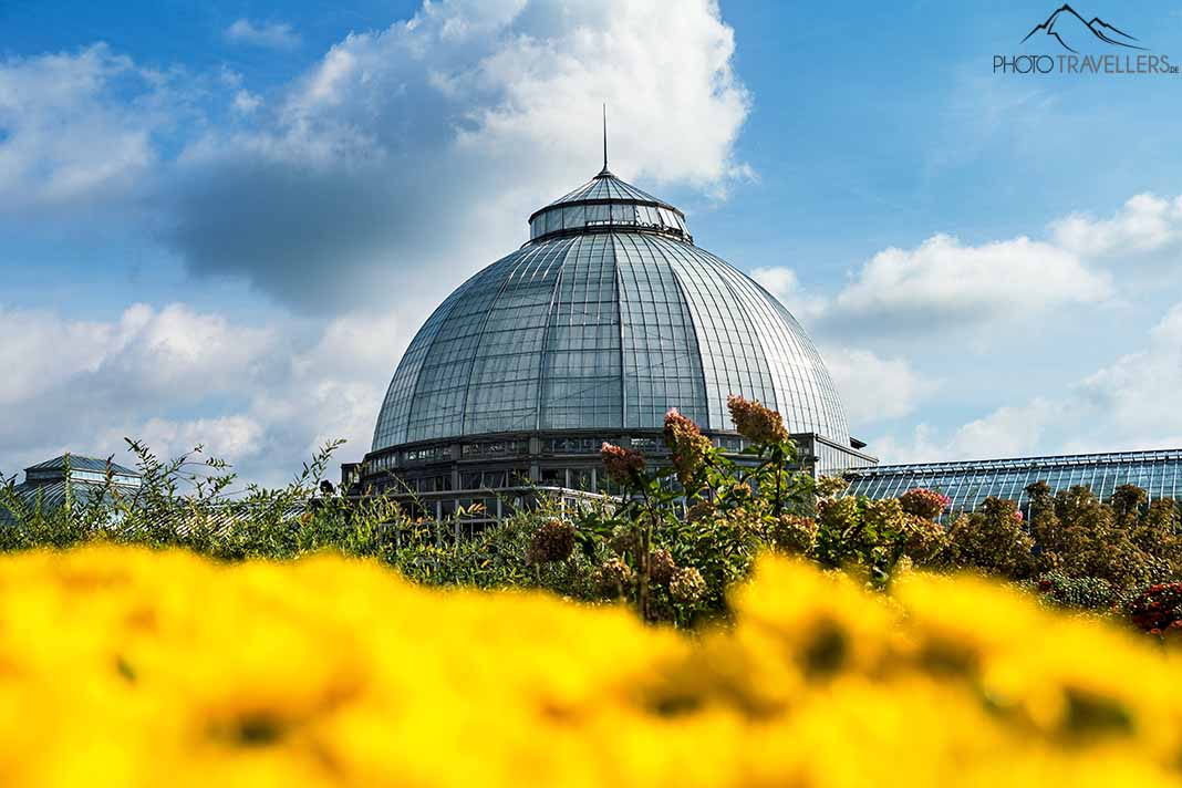 Die Kuppel des Anna Scripps Whitcomb Conservatory in Detroit
