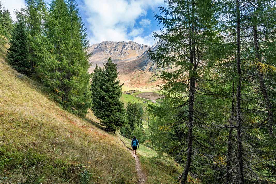 Reiseblogger Biggi Bauer auf einem Waldpfad auf dem Almweg 2000 im Gsieser Tal